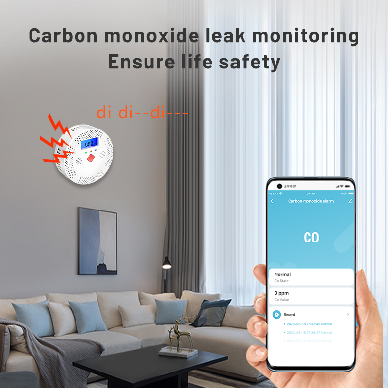 Tuya WiFi Smart Kohlenmonoxid- – Smoke Leak Detector Bewertung und Preis